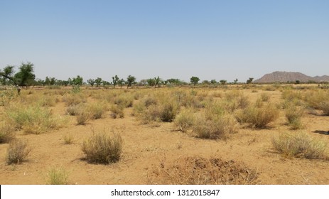 Sand Dunes, Green Forest, Fort, Aravalai Range Of Rajasthan Near Pushkar, District Nagaur