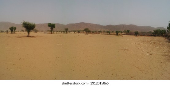 Sand Dunes, Green Forest, Fort, Aravalai Range Of Rajasthan Near Pushkar, District Nagaur