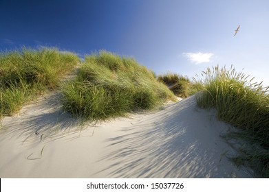 49,527 Sand Dune Water Grass Images, Stock Photos & Vectors | Shutterstock