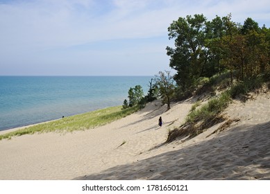 Sand Dunes In Indiana Dunes National Park