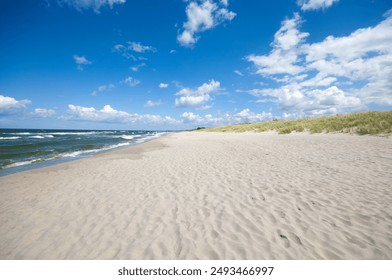 Sand dunes landscape at the Baltic sea - Powered by Shutterstock