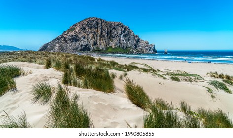 Sand dunes lead the way to the Moro Bay Rock