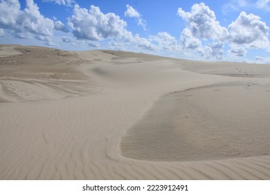 The Sand Dunes Of The Råbjerg Mile