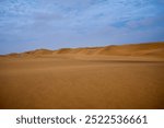 Sand Dunes in the Namib Desert