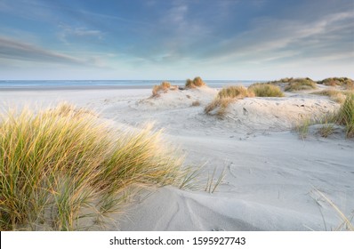 sand dunes at North sea beach, Schiermonnikoog