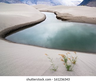 Desert River Images Stock Photos Vectors Shutterstock