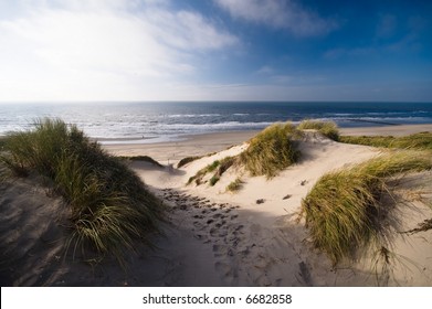 sand dunes and ocean in the netherlands