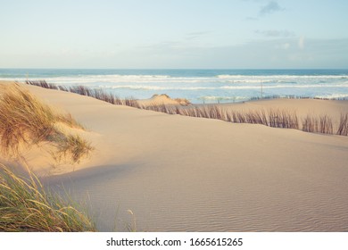 Sand dunes and ocean at sunny morning, Pensacola, Florida.