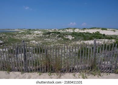 Sand Dunes Off The Coast Of The Point Of Cape Henlopen Beach In Delaware USA