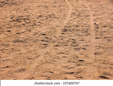 Silica sand Images, Stock Photos & Vectors | Shutterstock