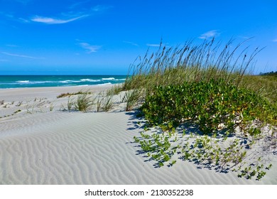 Sand Dunes On Melbourne Beach, Florida