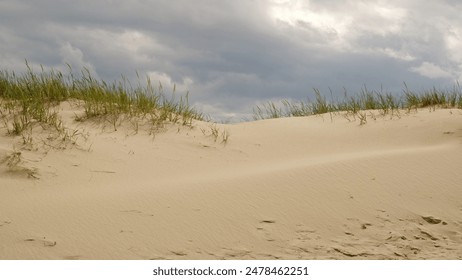 Sand dunes on the shore of the Baltic Sea. Marram grass (beach grass) growing in the sand. Landscape with beach sea view, sand dune and grass. - Powered by Shutterstock