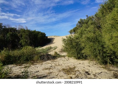 Sand Dunes On Stockton Beach