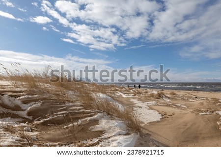 Sand Dunes of Oostende (Ostend) in the snow, North Sea coast, Belgium.