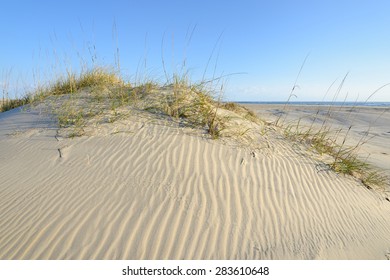 Sand Dunes Of Outer Banks In North Carolina