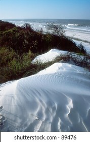 Sand Dunes
Panama City Beach Fl