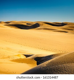 Sand Dunes, Pismo Beach, California