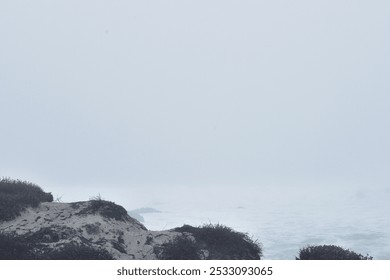 Sand dunes with plants along rocky shore on very foggy morning - Powered by Shutterstock