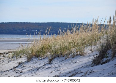 131 Plymouth long beach Images, Stock Photos & Vectors | Shutterstock