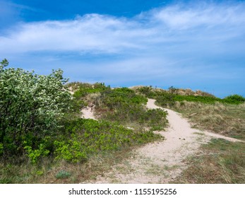 Sand Dunes In The Popular Resort Hornbæk In North Zealand, Denmark, Scandinavia, Europe