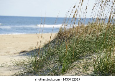 Sand Dunes Sandbridge Beach Grass