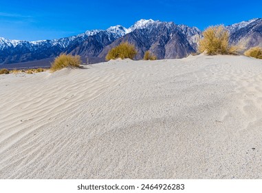 Sand Dunes With The Snow Capped Sierra Nevada Mountains, Olancha Dunes, California, USA - Powered by Shutterstock