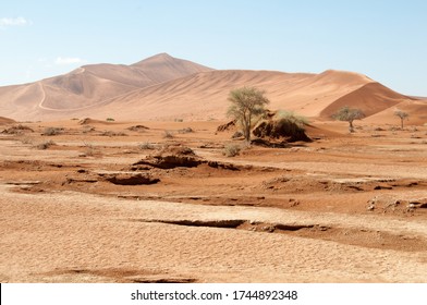Sand dunes at Sossusvlei in the Namib desert, Namibia