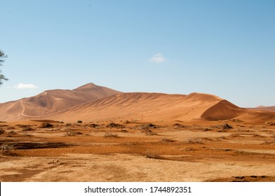 Sand dunes at Sossusvlei in the Namib desert, Namibia