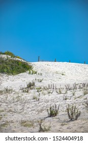 Sand dunes at South Ocean Beach on Assateague Island National Seashore on the Delmarva Peninsula in Maryland