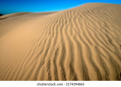 Sand Dunes South Padre Island Texas