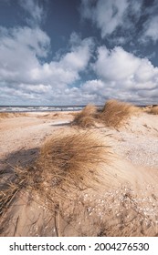 Sand dunes at Swedish beach.