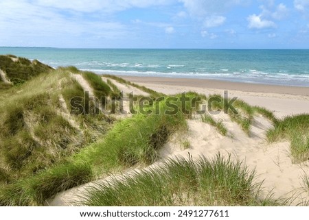 The sand dunes system at Morfa Harlech National Nature Reserve, Harlech beach, Eryri, also known as Snowdonia, North Wales.