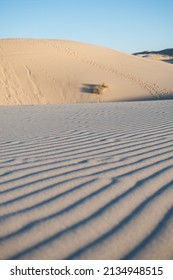 Sand Dunes Texture Dessert Sunset