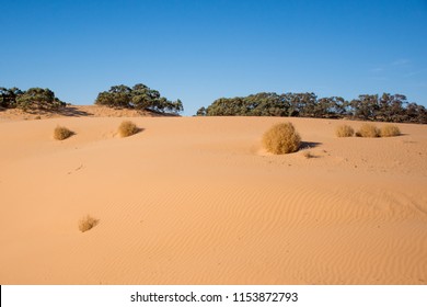 Sand dunes and tumbleweeds, Perry Sandhills, Australia - Powered by Shutterstock