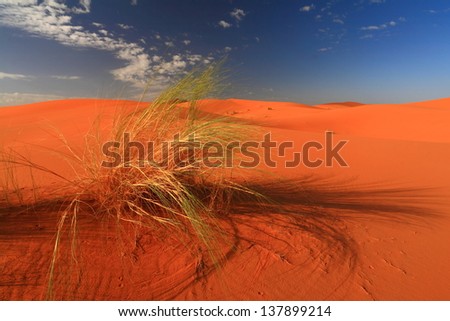 Similar – side wind Desert Sand Dune