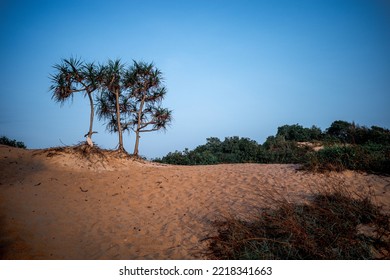 Sand Dunes View In Chumphon Thailand