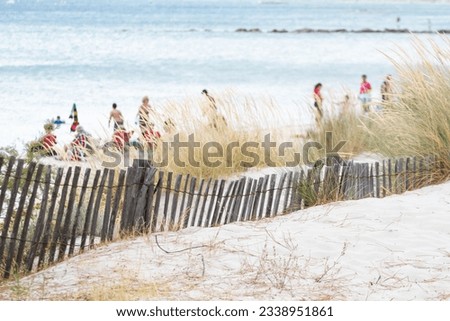 Sand fence to avoid erosion. Shot in between the beach and the pine tree forest in Calvi Corsica at the mediterranean sea. People on background blurred as the focus is on the fence.