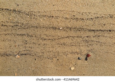sand fossil shell on the beach - Shutterstock ID 411469642
