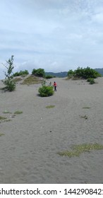 sand garden in java land 