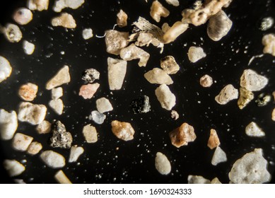 Sand Grain In A Microscope View