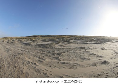 Sand Hill Slightly Overgrown With Grass, Landscape With Slight Fisheye Lens Effect