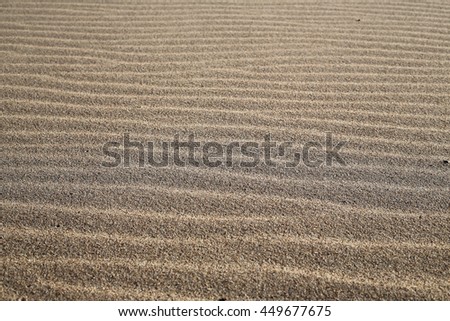 the sand on the beach