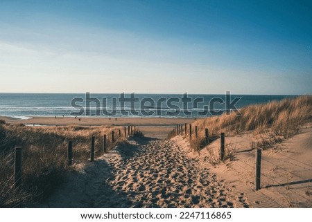 Sand path towards the sea