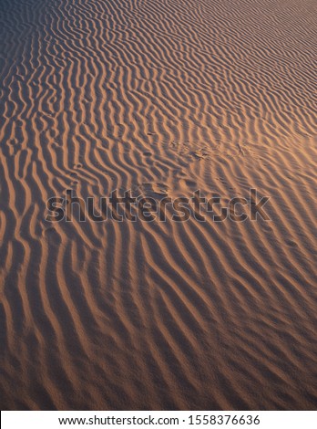 Similar – traces Umwelt Natur Sand