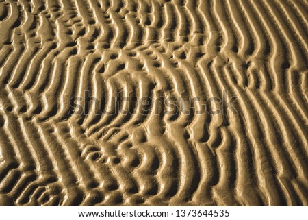 Similar – beach shapes Sand Beach