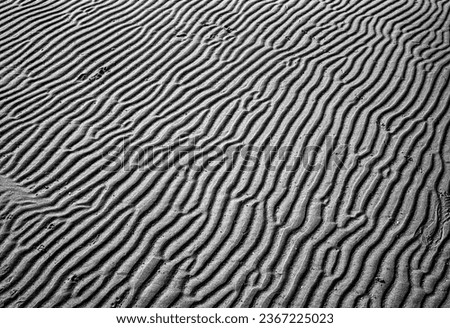 Sand Patterns at low tide in black and white
