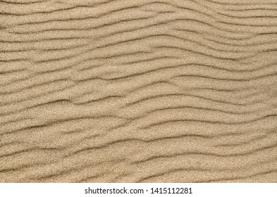 Sand ripple texture. Sandy background. Sand close-up.