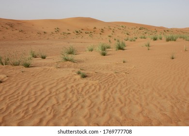 1,395 Desert screensaver Images, Stock Photos & Vectors | Shutterstock