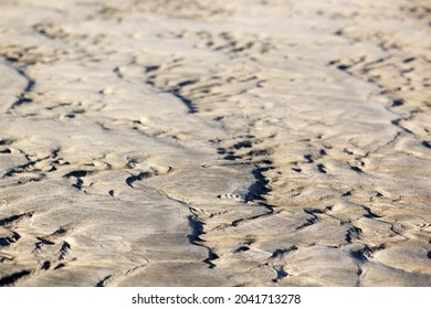 Sand Ripples On The North Sea With No People