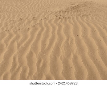 Sand Ripples Texture at Imperial Sand Dunes Recreation Area in California 